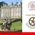 Golden Wheel CUP Four in HAND Driving Partner 2009
CAI-A Haras du Pin France